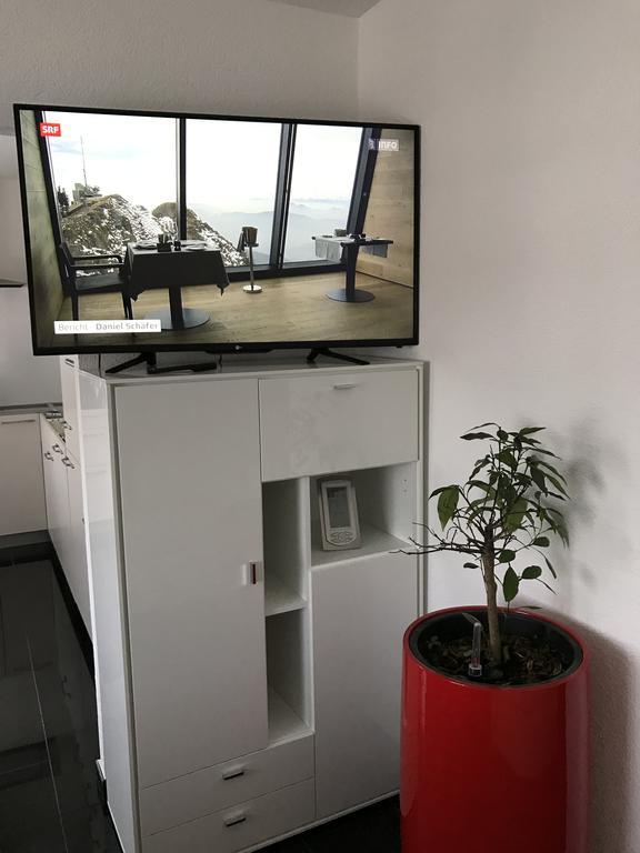 Im Zentrum Der Schweiz Dulliken Екстер'єр фото